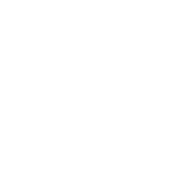 Adara Institute Official Logo